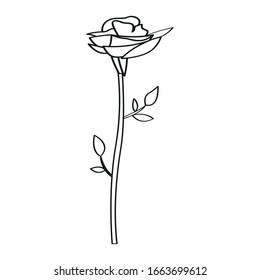 Isolated flower image. Outline of a rose - Vector illustration