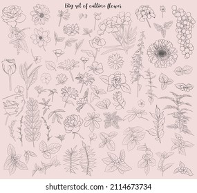 Isolated flower line art with leaf clipart