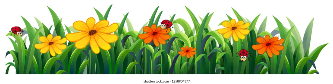 Isolated flower nature on white background illustration