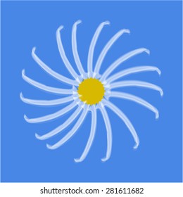 Isolated flower on a colored background. Vector illustration
