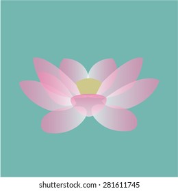 Isolated flower on a colored background. Vector illustration