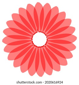 Isolated Flower on White Background.