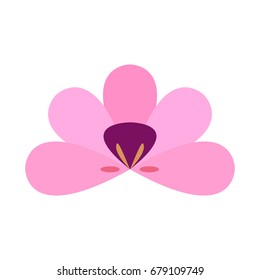 Isolated flower on a white background, flat style, Vector illustration
