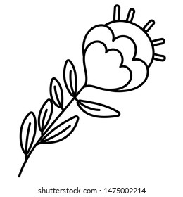 Isolated flower ornament design vector illustration
