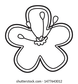 Isolated flower ornament design vector illustration