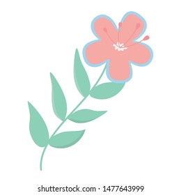 Isolated flower ornament design vector illustration