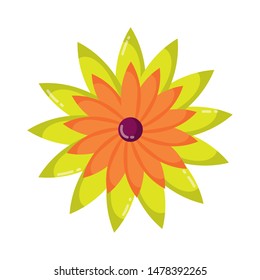 Isolated flower ornament design vector illustration