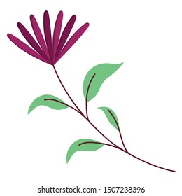 Isolated flower ornament design vector illustration