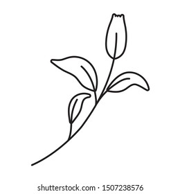 Isolated flower ornament design vector illustration