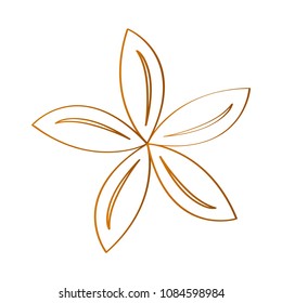 Isolated flower outline