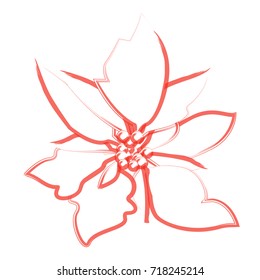Isolated flower outline on a white background, Vector illustration