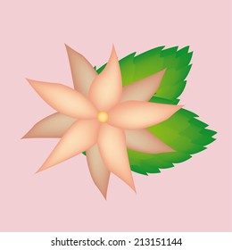 an isolated flower with a pair of leaves