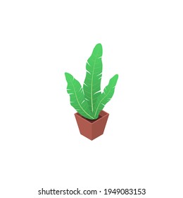 Isolated flower in a pot on a white background. Flat vector isometric illustration.