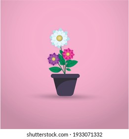  isolated flower pot Vector illustration . colorful bright flowerpot for house with pink gradient background. modern flower pot and vase with colorful daisy flowers. 
