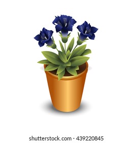 Isolated flower in pot, vector illustration
