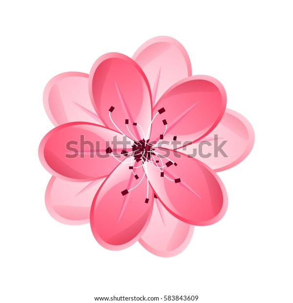 Isolated Flower Sakura Cartoon Pink White Stock Vector (Royalty Free ...