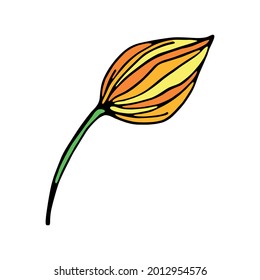 Isolated flower sketch Spring time Vector illustration