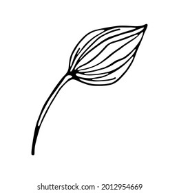 Isolated flower sketch Spring time Vector illustration
