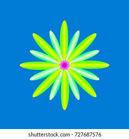 isolated flower vector