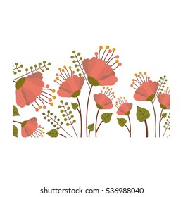 Isolated flowers background decoration design