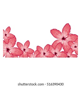 Isolated flowers decoration design