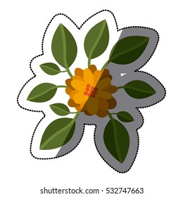 Isolated flowers decoration design