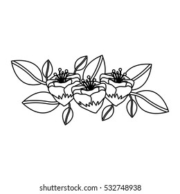 Isolated flowers decoration design