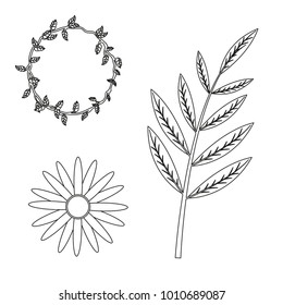 Isolated flowers design