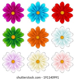 isolated flowers diferent colors. Vector illustrations