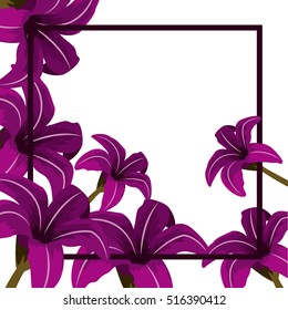 Isolated flowers frame decoration design