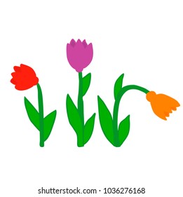 isolated flowers on white background