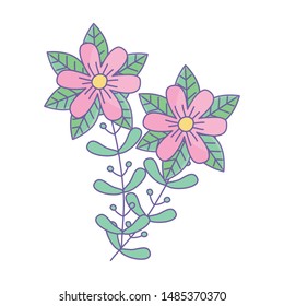 Isolated flowers ornament design vector illustration