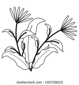 Isolated flowers ornament design vector illustration