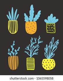 Isolated flowers in pots. Flat vector set. Nature elements illustration.