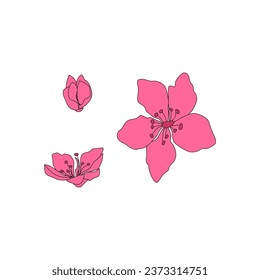 Flores aisladas de sakura set. Flores rosadas de caricatura del cerezo japonés. Ilustración de imagen de clip vectorial.