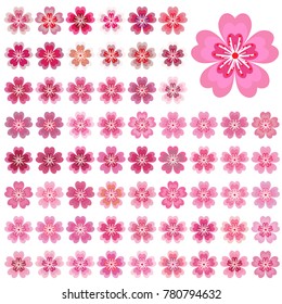 Isolated flowers of sakura set. Cartoon pink and white blossoms of Japanese cherry tree. Vector clip art illustration.