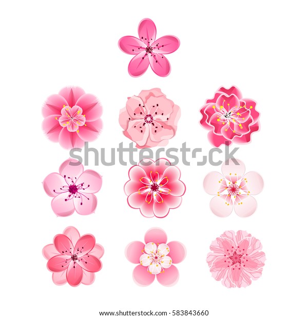 桜セットの花 桜の漫画のピンクと白の花 ベクター画像クリップアートイラスト のベクター画像素材 ロイヤリティフリー
