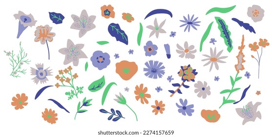 Isolated flowers simple decorative set