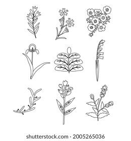 Isolated flowers vector elements set