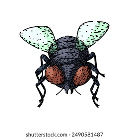 isolated fly hand drawn. black nature, collection set, bee engrave isolated fly vector sketch. isolated color illustration