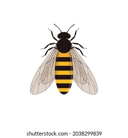 Einzeln von fliegendem Bienendesign auf weißem Hintergrund.