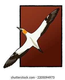 Isolated flying gannet in the sky. Vector illustration.