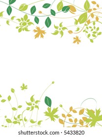 isolated foliage on the white background