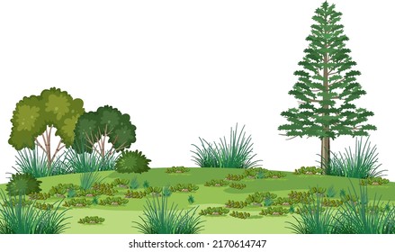 Isolated forest landscape on white background illustration