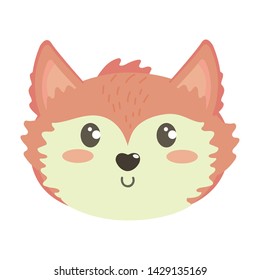 Isolated fox cartoon design vector illustration