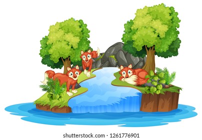 Isolated fox in island illustration