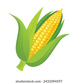 Isolated Fresh Corn Vector Illustration