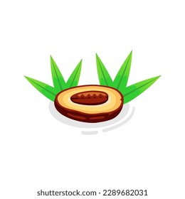 fechas frescas aisladas con hoja sobre fondo blanco, fechas simples vectoriales frescas con capas separadas