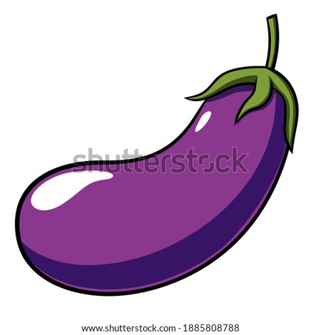 Isolated Fresh Eggplant. Vector illustration