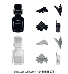 Isolated fresh and product object logos. Collection of fresh and asian vector icon for stock.